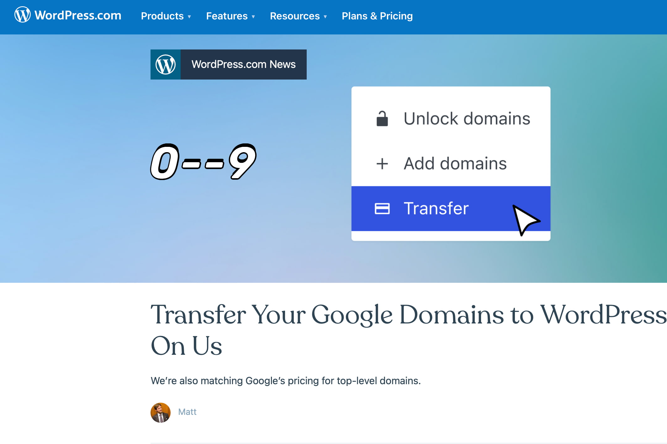 将Google Domains 托管的域名转移到WordPress 免费续费一年